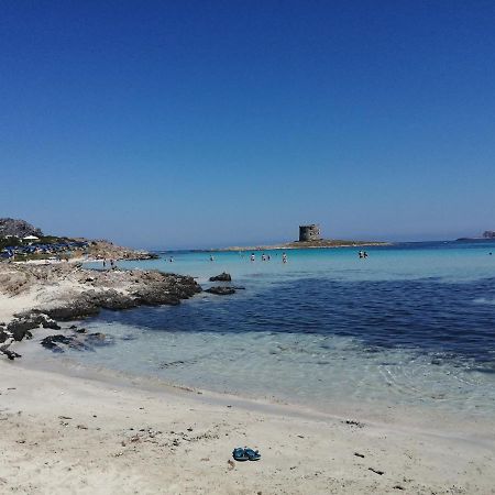 Cala Sardinia Apartment Viddalba エクステリア 写真